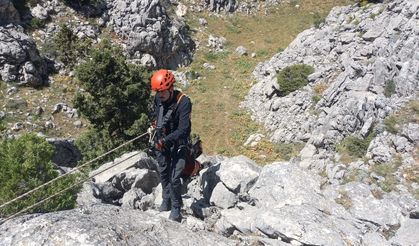 Kahramanmaraş'ta Mahsur kalan küçükbaş hayvanlar kurtarıldı