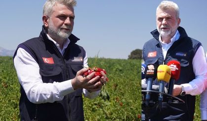 Fırat Görgel'den Maraş Biberi Üreticilerine Yardım Müjdesi