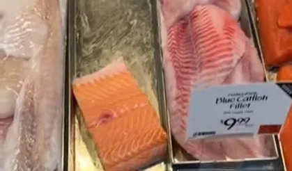 ABD'deki Marketlerde Boya ile Renklendirilmiş Somon Satışı Artıyor