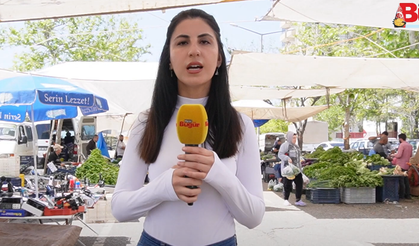 Limon İhracatı Durduruldu, Esnaf Ne Diyor?