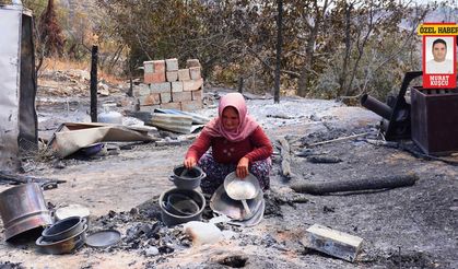 Yangın Sonrası Vahim Tablo: Binlerce Hektar Kül Oldu