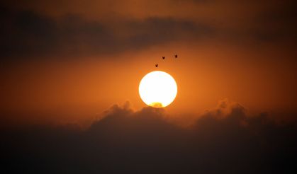Yumurtalık Lagünü'nde sonbahar göçü: Göçmen kuşların renkli yolculuğu