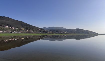 Kahramanmaraş'ta yağışlar tarım arazilerini su altında bıraktı