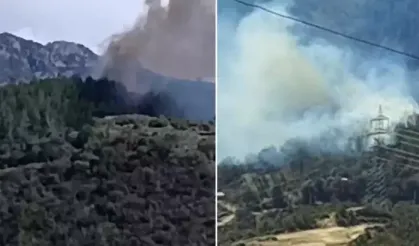 Osmaniye’de korkutan orman yangını: Rüzgar alevleri büyüttü