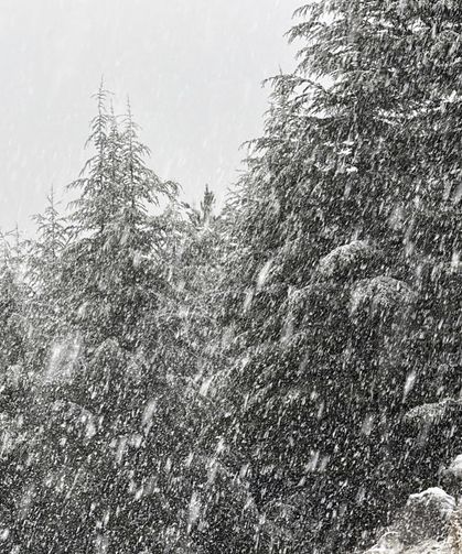 Pazartesi 21 ile lapa lapa kar yağacak