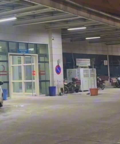 Hayvan otlatma tartışması kavgaya dönüştü: 15 yaralı