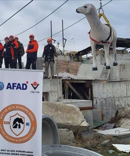 AFAD'dan afetlerde hayvanların korunmasına yönelik uluslararası proje
