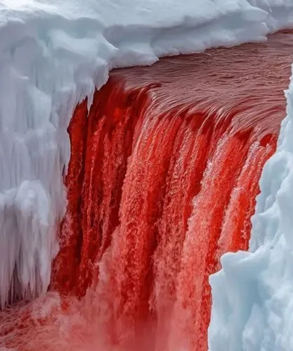 Antarktika’daki Kanlı Şelale’nin Sırrı Çözüldü