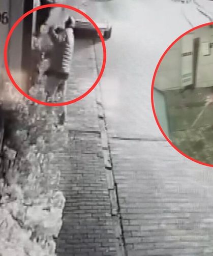 Bursa Osmangazi’de iş yerinden 15 bin liralık süs ağacı çalındı O an kamerada