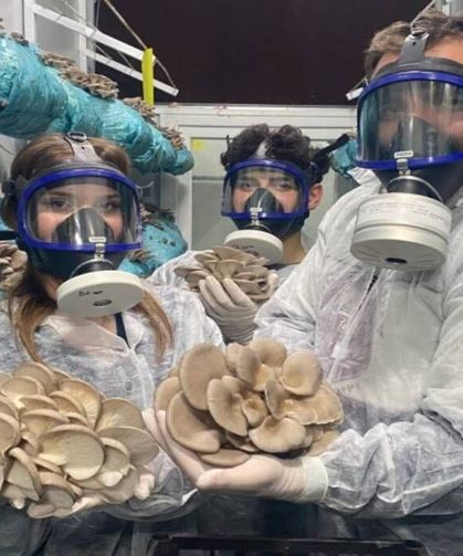 Hobi olarak başladı, tesis kurdu; Günde 1 ton üretiyor