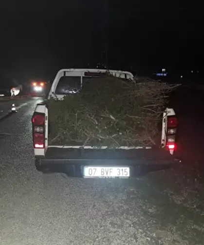 Antalya'da kamyonet kasasından düşen kadın hayatını kaybetti