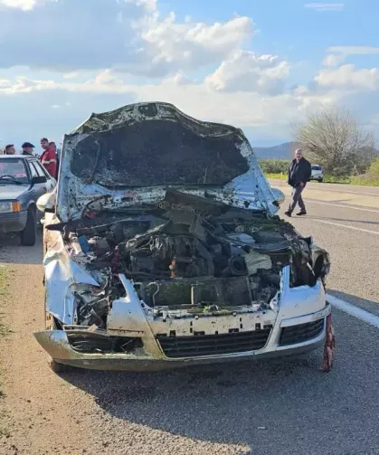 Koyun Sürüsüne Giren Otomobil Ortalığı Savaş Alanına Çevirdi: 7 Hayvan Telef