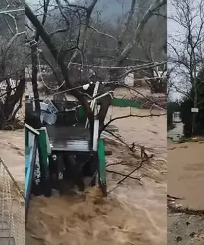 Sağanak nedeniyle dereler taştı, 5 büyükbaş öldü