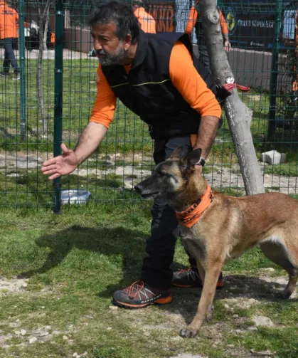 Türkiye’de arama kurtarma köpekleri için kritik uyarı sayı artırılmalı