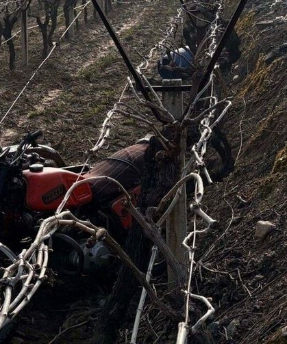 Üzüm bağına devrilen motosiklet sürücüsü hayatını kaybetti