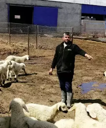 80 bin lira maaşa çoban bulamıyorlar