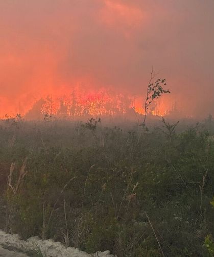 ABD Georgia'da yangın! 120'den fazla ev küle döndü