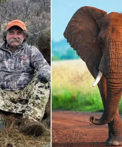 ABD’li Milyoner Avcı Fil Sürüsünün Saldırısında Hayatını Kaybetti