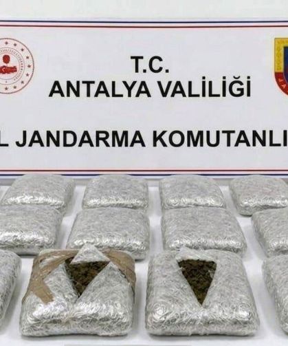 Antalya Döşemealtı'nda jandarmadan büyük darbe! 30 kilo skunk