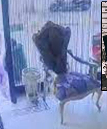 Böcek ailesinin ölümüne ilişkin davanın görülmesine yarın başlanacak