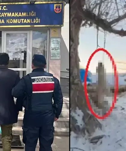Çok yediğini iddia ettiği köpeğini ağaca asıp öldürmüştü: Tutuklandı