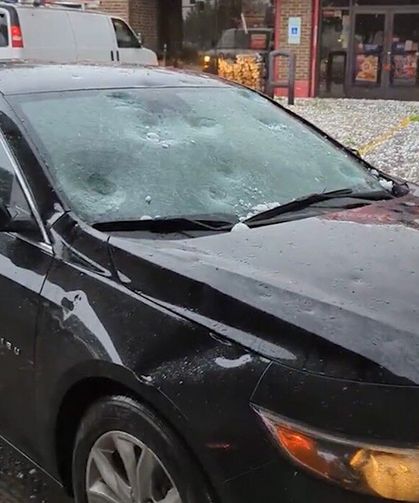 Tenis topu büyüklüğünde dolu yağışı: Hayvanat bahçesinde 1 hayvan telef oldu