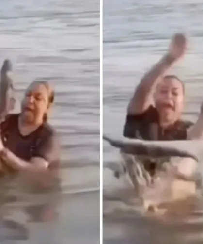 Elini Attı, Dehşeti Yaşadı! Kütük Diye Timsaha Dokundu