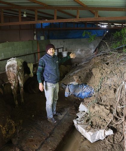Hatay’da heyelan ahırın kapısını kapattı: Hayvanlar mahsur kaldı