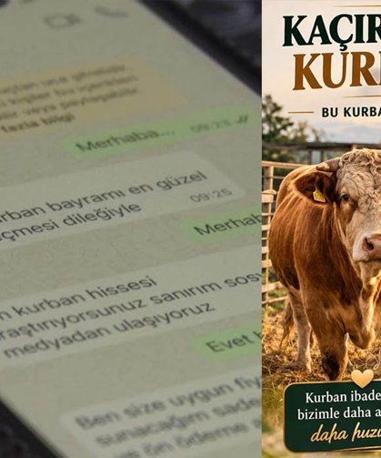 İnternetteki bu tuzağa dikkat: Dolandırıcıların ucuz kurbanlık oyunu...