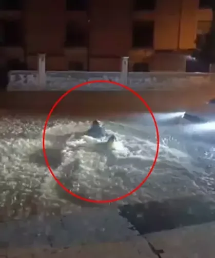 Sağanakta göle dönen sokakta yüzdü