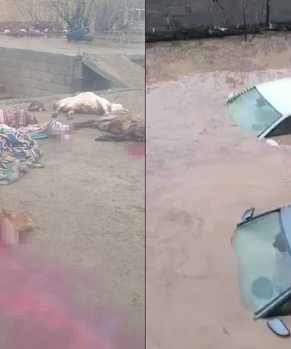 Araçlar sel sularında kayboldu, onlarca hayvan telef oldu