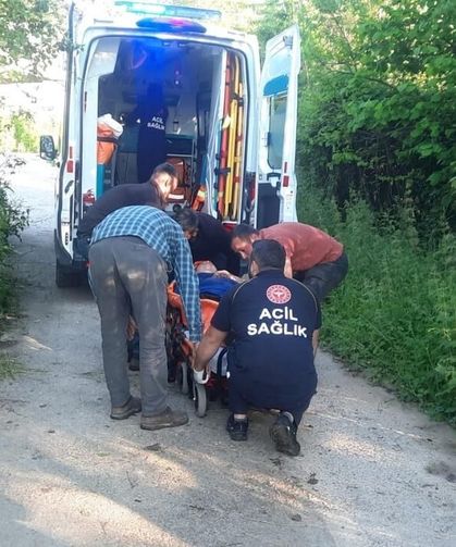 Kastamonu Cide'de korkutan olay! Arı soktu fenalaştı