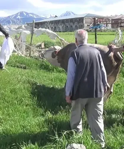 Kurban Kesimi Sırasında Feci Olay: 1 Ölü, 110 Yaralı