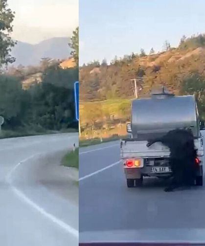 Kurbanlık Hayvana Vicdanları Sızlatan Muamele: Kilometrelerce Sürükledi