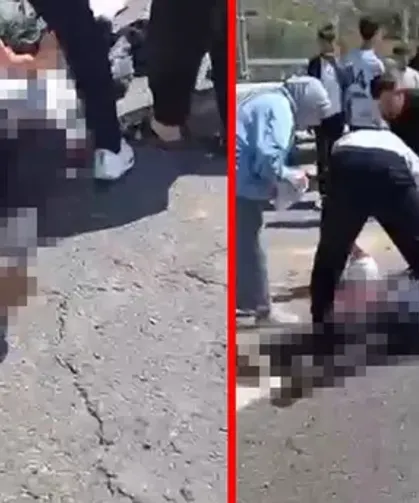 Şanlıurfa Birecik’te acı kaza: Kurbanlık yüklü kamyonet devrildi, 1 ölü!