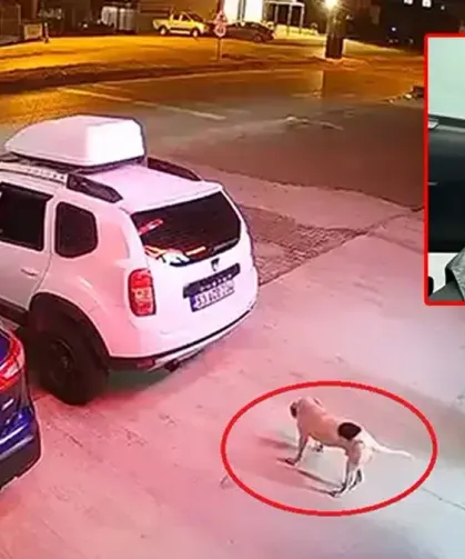 Köpeğe çarpmamak için manevra yaptı, takla atan ATV'de öldü