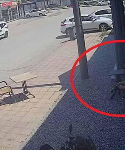 Aracı çalmak isterken meydan dayağı yedi: O anlar kamerada