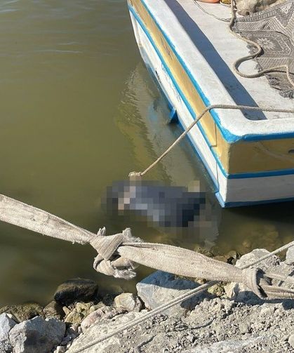Asi Nehri'nde erkek cansız bedeni bulundu