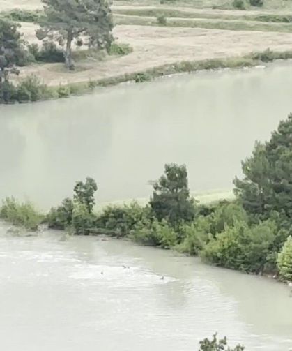 Çayda kaybolan Ömer Alptekin 16 gündür aranıyor