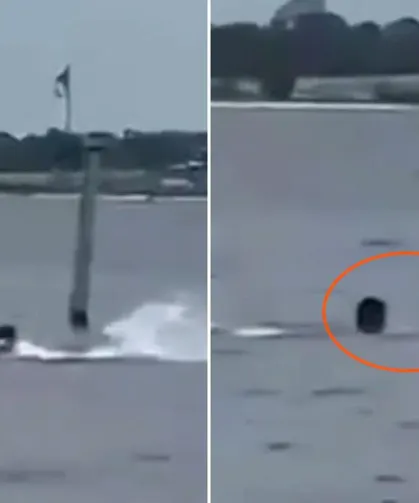 Denize Giren Adam Köpekbalığı Tarafından Saldırıya Uğradı