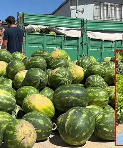 Hayırsever çiftçi, DMD hastası Uygar için 20 ton karpuz bağışladı