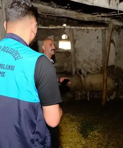 Kuduz vakası sonrası mahalle karantinaya alındı
