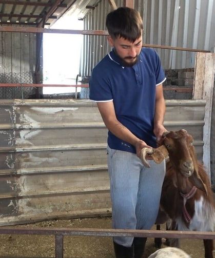 Kulağından boynuz çıkan keçi görenleri şaşırttı