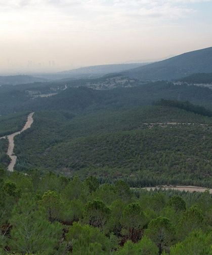 Ormanlara giriş yasağı başladı