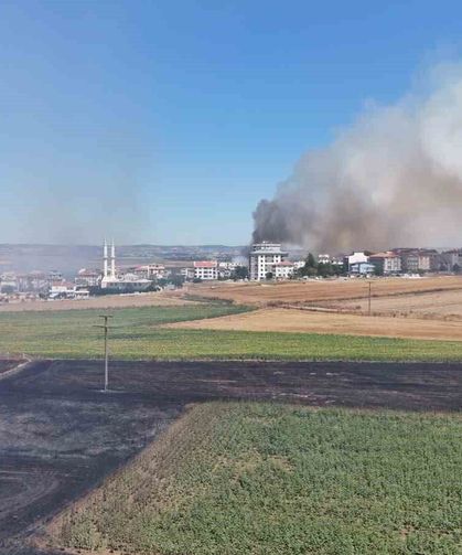 Rüzgarla büyüyen yangında alevleri kontrol altına alma çalışmaları devam ediyor