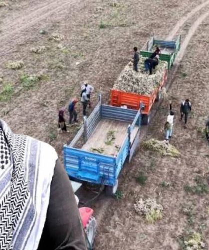 28 yaşındaki gencin başlık parası isyanı: 600 bin liradan başlıyor...