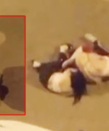 Kadınlar saç saça kavga etti
