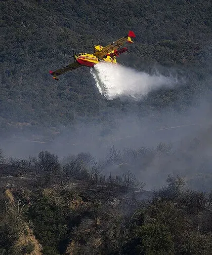 Orman yangını çıkaran 59 kişi gözaltına alındı