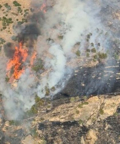 Pamukkale’de orman yangınına çok sayıda ekip müdahale ediyor