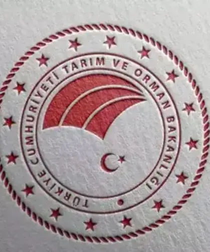 Uygunsuz bulunan beyaz peynir piyasadan toplatıldı